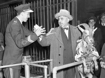 Billy Sianis (a la derecha) y su cabra, al ser expulsados del estadio de los Chicago Cubs el 6 de octubre de 1945.
