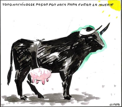 “A bull passing itself off as a cow in order to avoid death.”