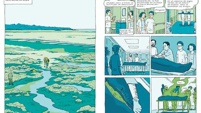 Viñetas del cómic 'Algas verdes: la historia prohibida', de Inès Léraud y Pierre Van Hove.