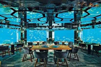Sea (Maldivas)

Emplazado en el Anantara Kihavah Resort, ofrece una panorámica 360 grados de la fauna marina. Está centrado en  cocina internacional maridada con las sugerencias del sumiller. Es una de sus señas de identidad: se trata de la primera bodega de vino submarina. También destaca por su techo geométrico compuesto por espejos que reflejan el mar.