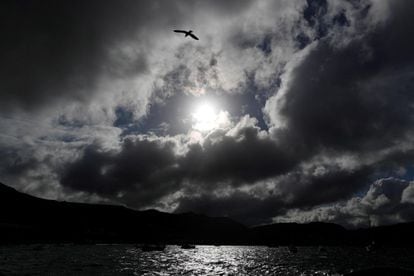 Una gaviota vuela entre nubes de tormenta que llegan a la costa en Ciudad del Cabo (Sudáfrica).