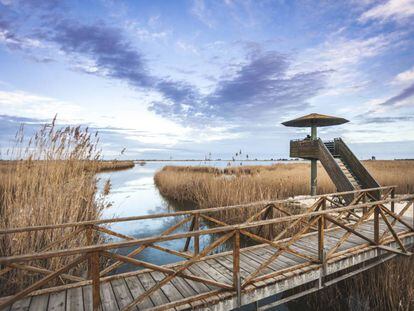 Torre d'observació ornitològica a la llacuna de l'Encanyissada, la més extensa del Parc Natural del Delta de l'Ebre, a la provincia de Tarragona. 