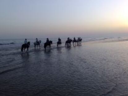 Playa del Parque de Doñana