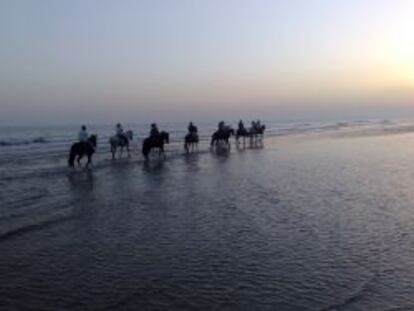 Playa del Parque de Do&ntilde;ana