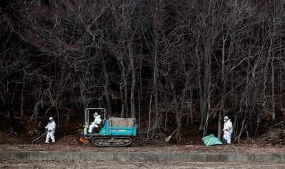 Fukushima