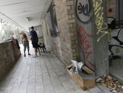 Dos de los actuales residentes del Johnny en el patio del colegio mayor con sus perros.