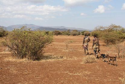 Los miembros del pueblo hadza tienen vidas muy activas, pero consumen la misma cantidad de energía que un occidental sedentario.