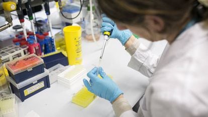 Una investigadora en un laboratorio del Centro de Regulación Genómica de Barcelona