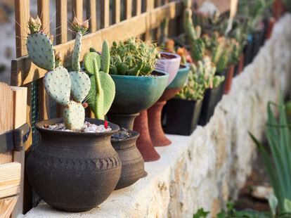 One of the corners of the Casa Rural Melones collection.