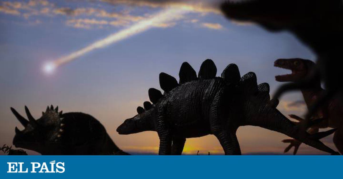 Una reconstrucción climática muestra que fue el asteroide lo que acabó con los dinosaurios | Ciencia | EL PAÍS Una reconstrucción climática muestra que fue el asteroide lo que acabó con los dinosaurios | Ciencia | EL PAÍS