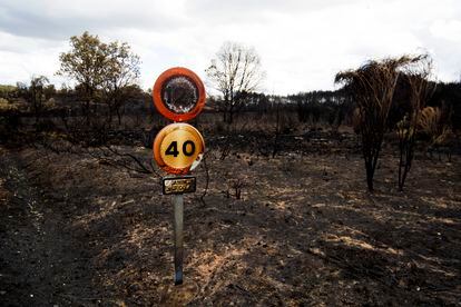 Daños provocados por el incendio forestal en la Sierra de la Culebra, este lunes.