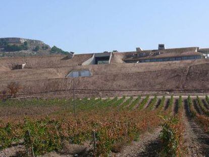 Vista de parte de los vi&ntilde;edos y la bodega Entrecastillos, en la Ribera del Duero.