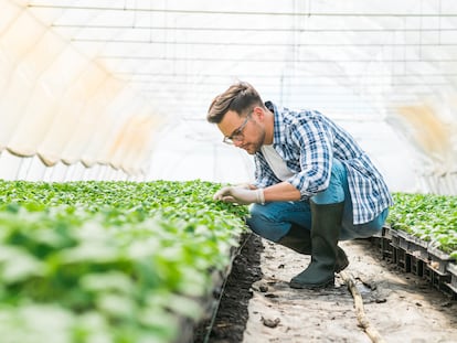 Según datos de la Asociación Europea para la Protección de las Plantas, la utilización de productos fitosanitarios evita que se pierda hasta un 40% de la producción agraria mundial.