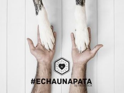 Con #Echaunapata una foto de tu mejor amigo en Instagram puede convertirse en un euro en comida para animales sin hogar