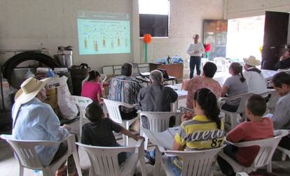 Los expertos de Ciatej hablan con los productores de mezcal.