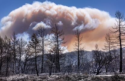 Columna de humo generada por el incendio de Villanueva de Viver (Castellón) grabada en marzo.