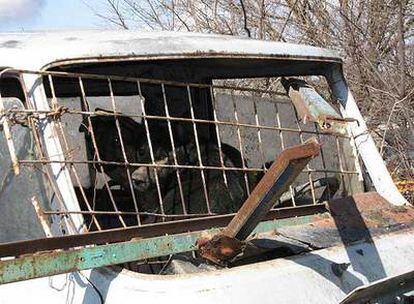 Dos de los perros, encerrados en una furgoneta destartalada.