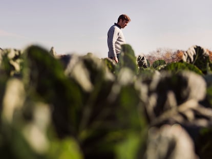 El chef Fernando del Cerro se pasea a menudo por las huertas de la vega de Aranjuez en busca de su mejor producto vegetal. 