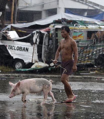 Un ciudadano guía a su cerdo por la calle.