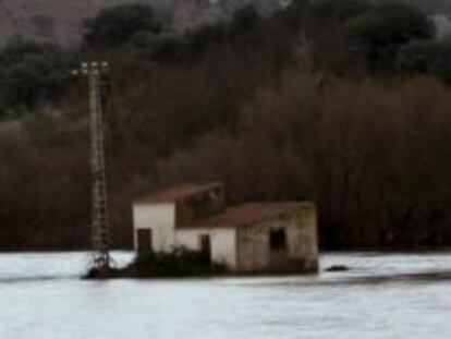 El río Guadiana a su paso por Los Pozuelos de Calatrava en Ciudad Realque ha invadido puentes y riberas.