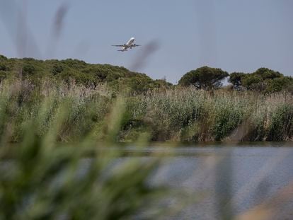 La laguna de La Ricarda, situada en la zona propuesta para la ampliación del aeropuerto de El Prat, en junio.
