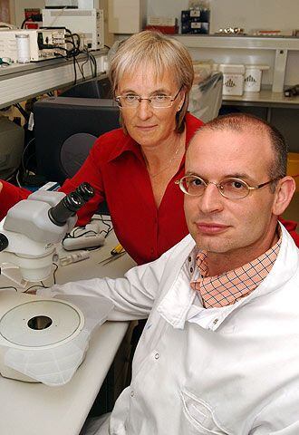Los expertos Alison Murdoch (izquierda) y Miodrag Stojkovic.