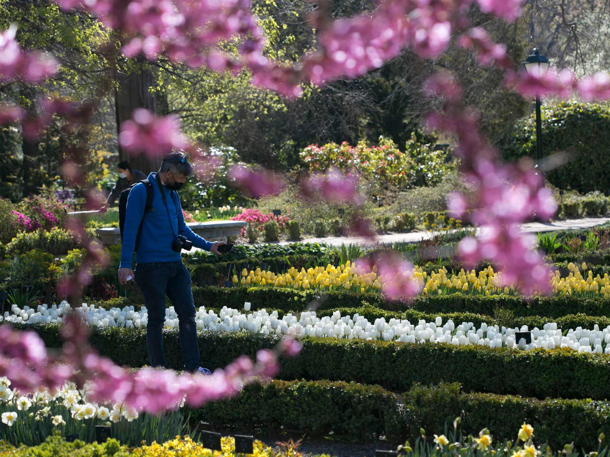 Viajar a Holanda sin salir del Jardín Botánico de Madrid | Madrid | EL PAÍS