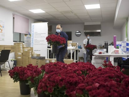 Una remesa de roses a l'hospital Clínic de Barcelona, aquest dijous.