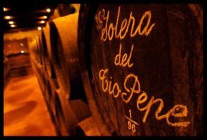
Un curso online para adentrarse en el mundo de los vinos de Jerez con el Sherrymaster by Tío Pepe, y convertirse en un 'sherrylover'. https://online.sherrymaster.com
u Precio:  95 euros.