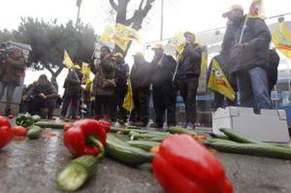 Protesta de COAG ante el Ministerio de Agricultura, Alimentación y Medio Ambiente, en Madrid, contra el acuerdo agrícola entre la UE y Marruecos. EFE/Archivo