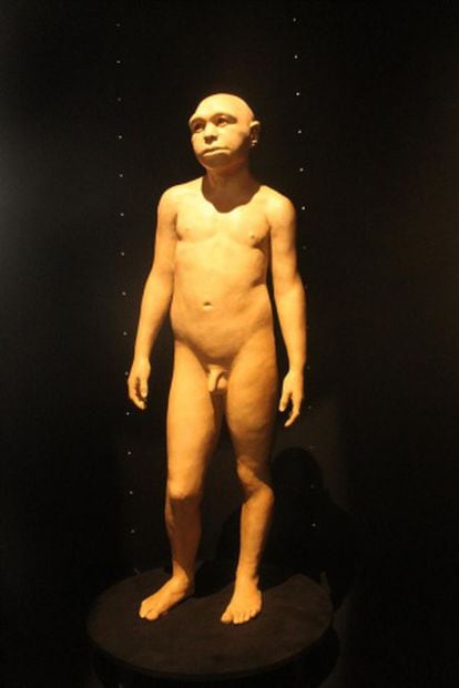 Recreación de un 'Homo antecessor' en el Museo de la Evolución Humana.