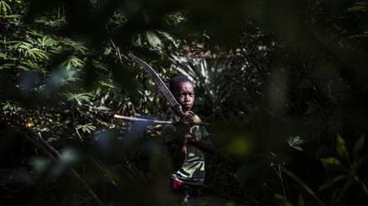 Moise, de 10 años, sostiene un machete durante su trabajo en los campos de cacao, cerca de Bodouakro, en el departamento de Daloa, en Costa de Marfil.