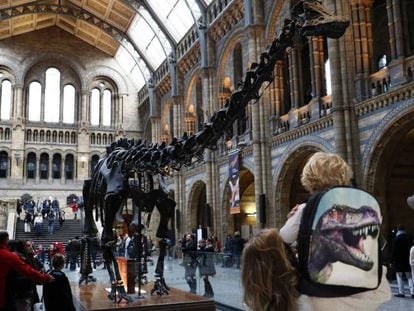 Varios visitantes, el pasado enero en el Museo de Historia Natural de Londres.