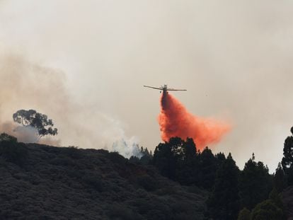 Una avioneta descarga sobre un incendio en la zona del Pico de las Nieves, en Gran Canaria, este martes.