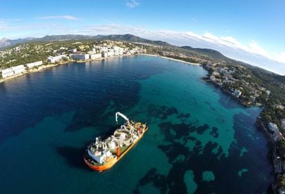 Barco del proyecto El Bosque para salvar a la posidonia, especie mediterránea en peligro de extinción, en las islas Baleares.