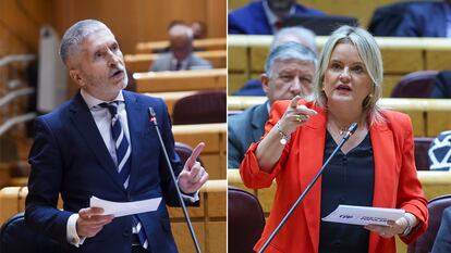 La senadora del PP Marimar Blanco carga contra Marlaska y el ministro responde: “Usted y yo sabemos lo que es terrorismo y lo que no”