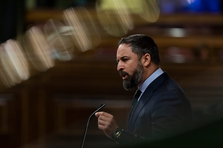 El presidente de Vox, Santiago Abascal, interviene desde la tribuna en una sesión plenaria en el Congreso, en Madrid, este miércoles.
