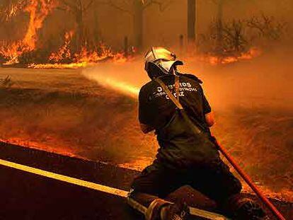 Un bombero trabaja para sofocar el incendio de Conil de la Frontera.