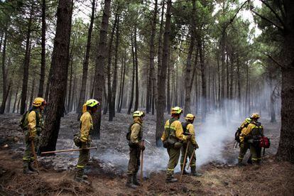 Personal de emergencias pasan entre los árboles afectados por el incendio del Parque Natural de la Sierra Norte de Guadalajara.