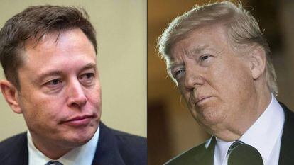 Elon Musk, CEO de Tesla, y Donald Trump, expresidente de EE UU.