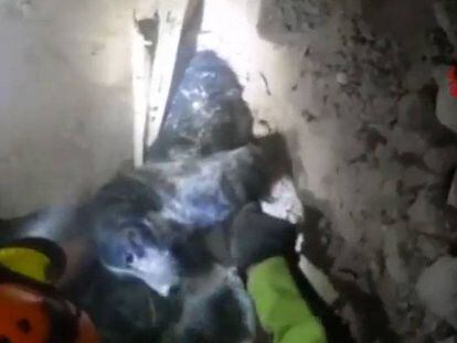 El rescat d’un gos entre la runa del terratrèmol d’Itàlia