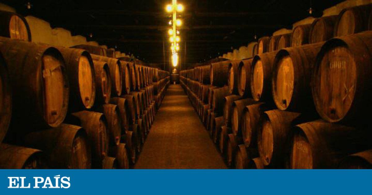 Portugal: Certo!  Os portugueses gastam dinheiro em vinho |  Opinião