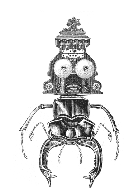 reemplazar Rareza Escudero Los escarabajos peloteros | Opinión | EL PAÍS
