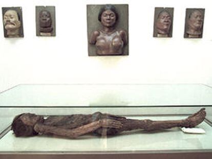 Cadáver momificado de un guanche, traído a Madrid en el siglo XVIII desde una cripta montañosa canaria.