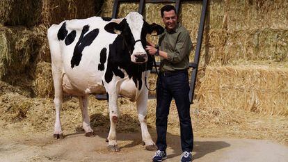 El presidente de la Junta de Andalucía, Juanma Moreno, este miércoles con la vaca 'Fadi' en Añora (Córdoba).