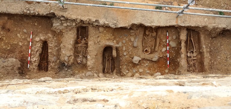 Cuerpos hallados por los arqueólogos junto a la muralla de Almazán (Soria).