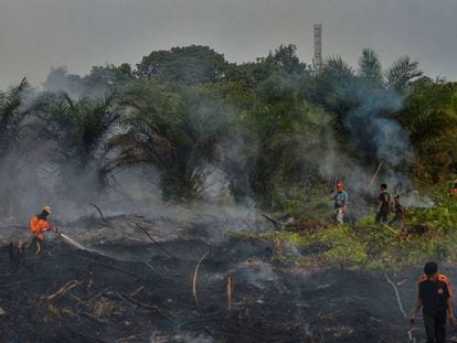 Bomberos apagan un incendio en una plantación de aceite de palma, en Pekanbaru, en Indonesia.