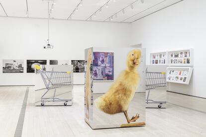 Instalación dentro de una de las salas de la exposición 'Objects of Desire: Photography and the Language of Advertising', en el LACMA.
