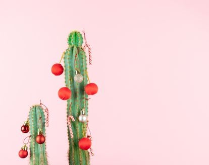 Cactus Christmas