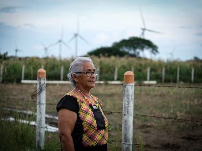 La señora Guadalupe Ramírez, de 70 años, lleva una década defendiendo su territorio de las empresas eólicas.